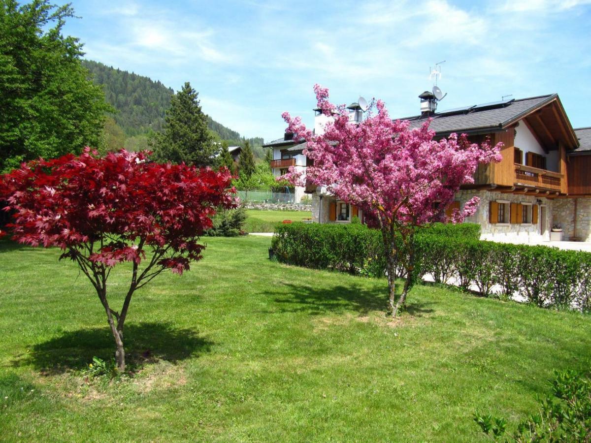Ca'Milla B&B Nelle Dolomiti Пьеве-ди-Кадоре Экстерьер фото